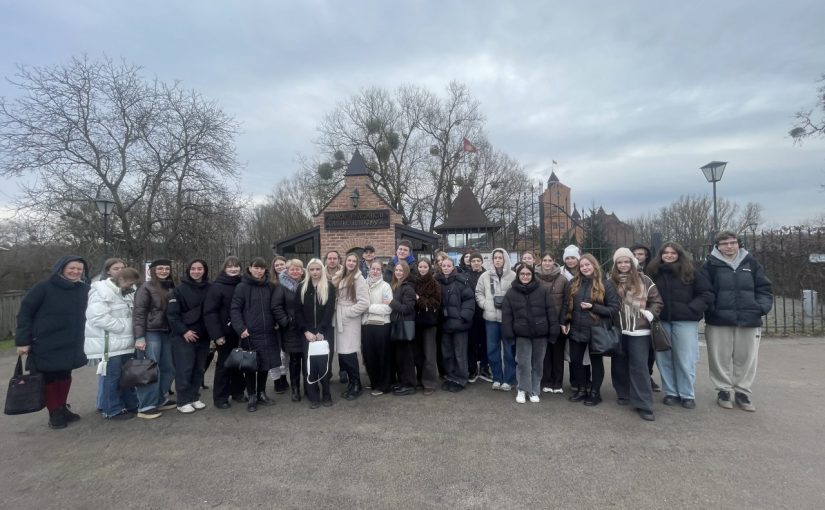 Image for: Студенти Житомирської політехніки відвідали історико-культурний комплекс «Замок Радомисль»